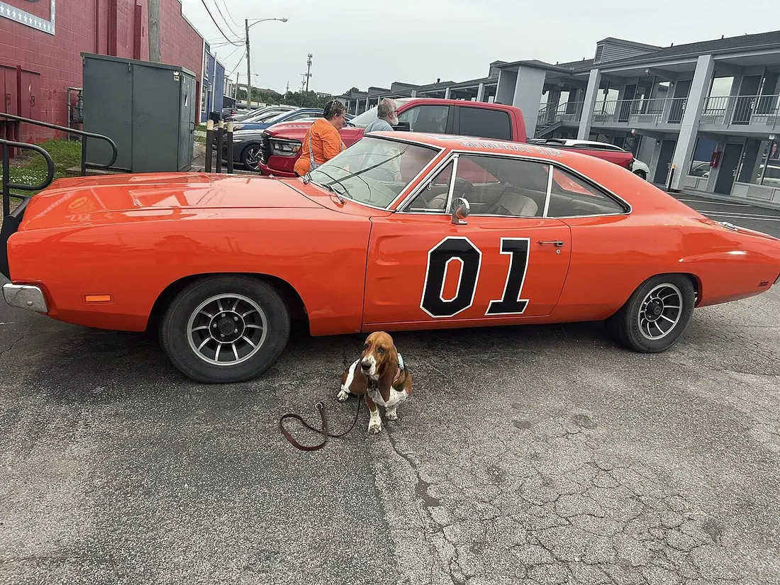 A basset hound standing in front of a "The General Lee" Dodge Charger from The Dukes of Hazzard, in front of Cooter's in