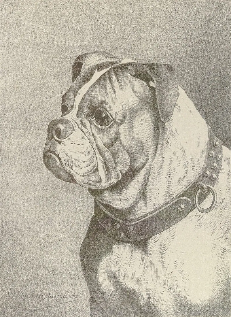 Illustrirtes Muster Hunde-Buch. Studien rassereiner Hunde. Blätter für Züchter, Liebhaber, Kynologische Vereine und Freu