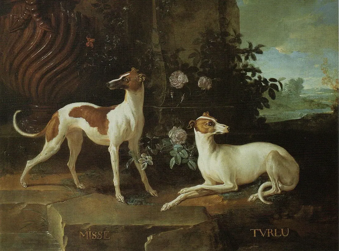 "Misse and Turlu, Two Greyhounds Belonging to Louis XV" by Jean-Batiste Oudry